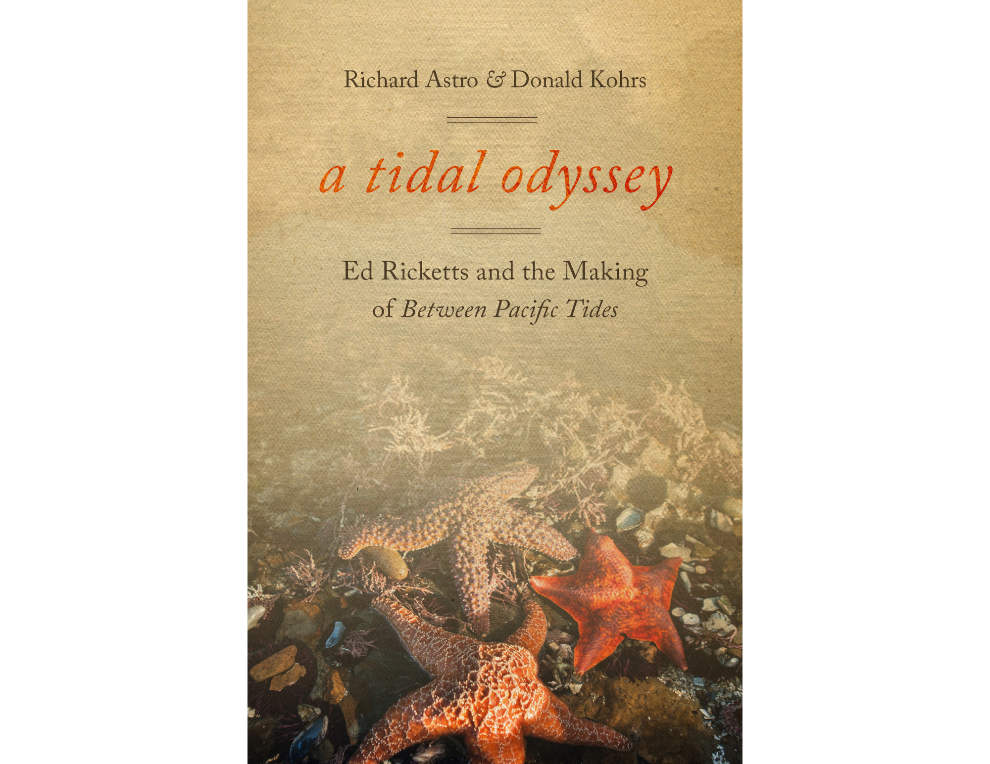 An Eminently Readable Tidal Odyssey