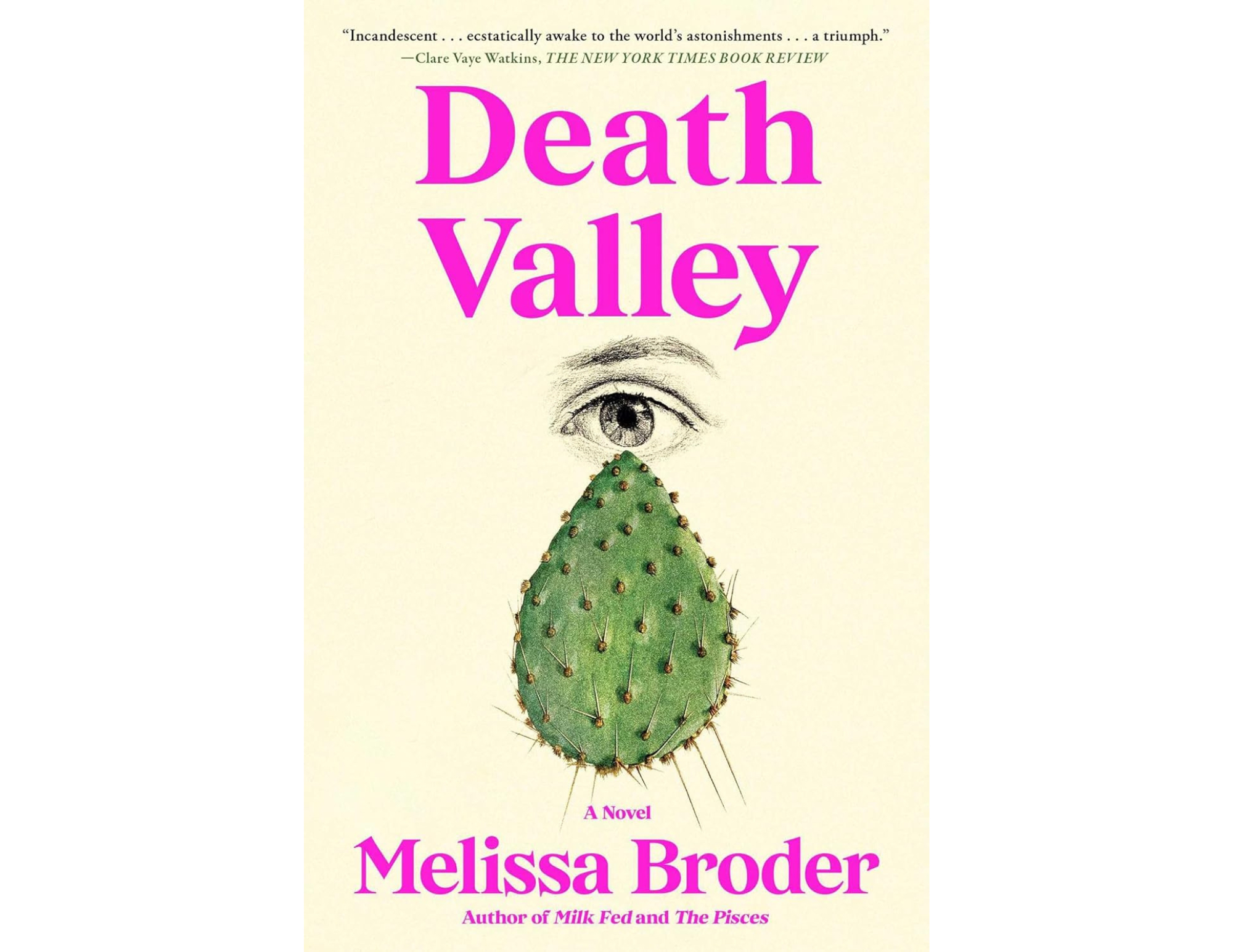 Anything Can Happen in the Desert: Death Valley by Melissa Broder 